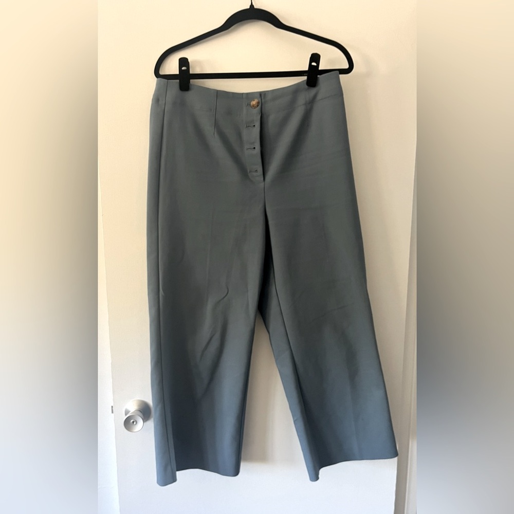 Ann Taylor pants.